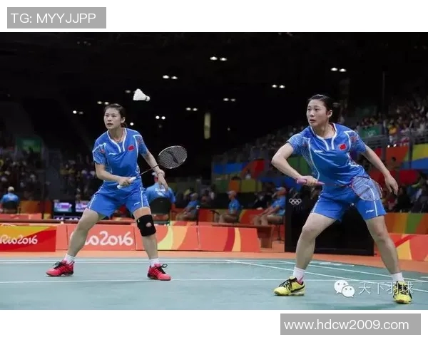 南京羽毛球队区域防守策略解析与战术应用探讨