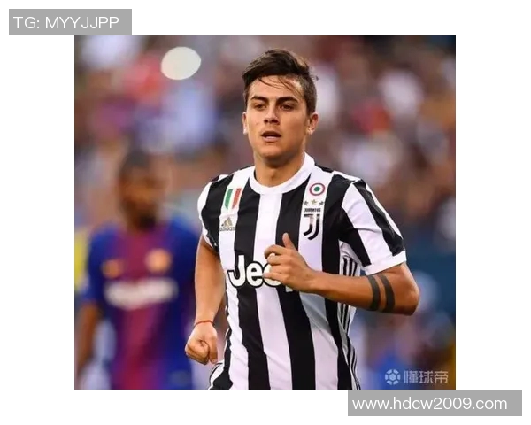 河北酒店足球明星的璀璨之路与背后故事揭秘