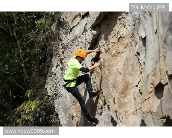 杨伟独家分享排球心得与技巧助你提升竞技水平与团队配合能力